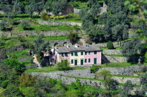 Villa Olivari - apt il Melograno, Camogli